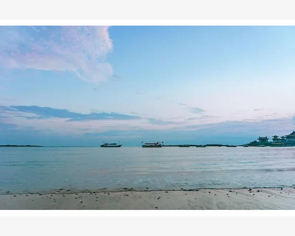 呵护脾胃，远离湿寒——脾虚湿寒体质食疗调理指南