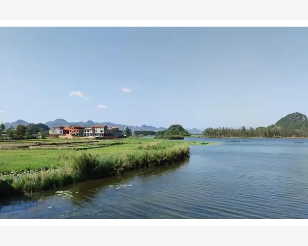 产后饮用药物补气血的最佳选择与方法