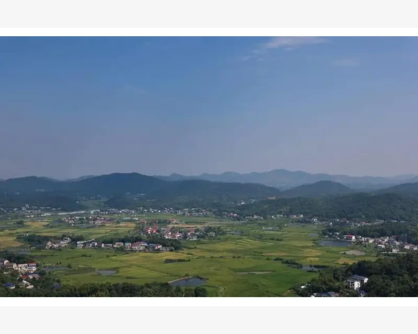 经期补血，尽在美味蔬果：中医科普助你找到最佳菜肴